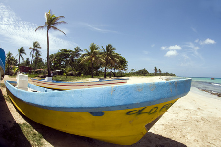 渔船与椰子树木沃拉点玉米岛尼加拉瓜