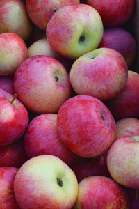 新鲜收获的甜可口的水果作为健康的小吃或准备美味的沙拉烹饪或面包店