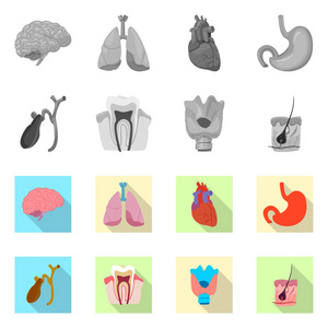 人体和人类标志的孤立物体。收集身体和医学矢量图标的股票
