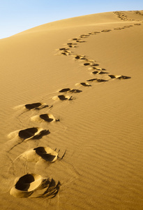 在沙漠中的脚印照片