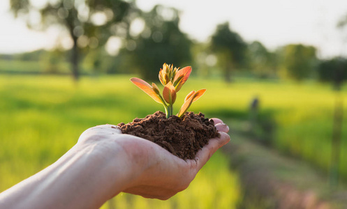 生命的希望图片-生命的希望素材-生命的希望插画-摄图新视界