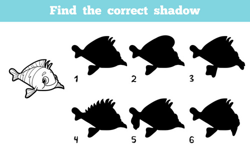 搜索鱼找到正确的影子(鱼)照片