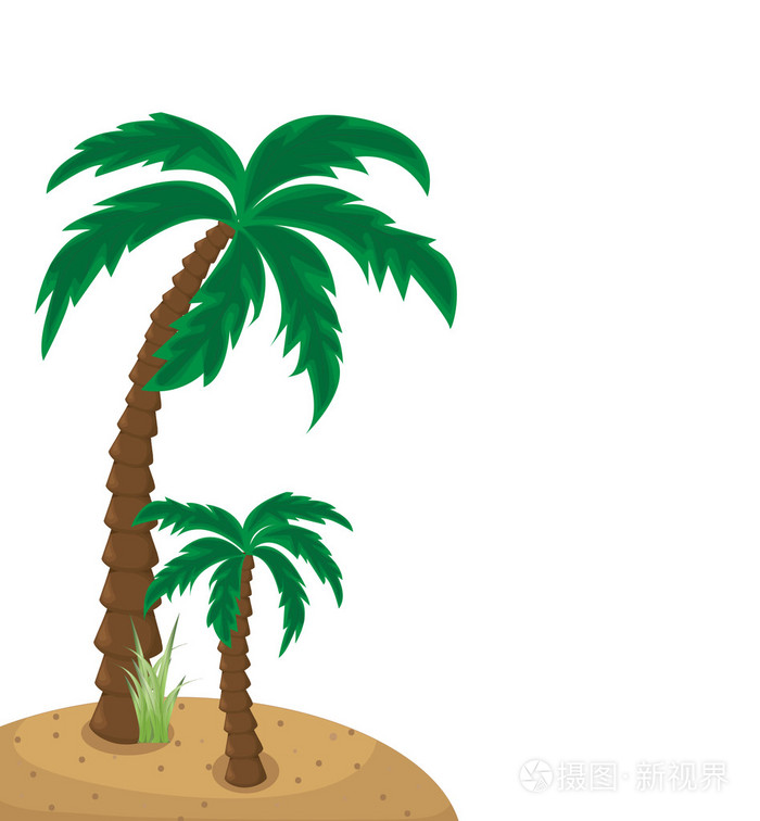 棕榈树插画-正版商用图片0b1365-摄图新视界