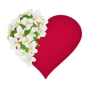 情人节那天与白花背景矢量的心图片