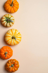 不同颜色的南瓜, 季节性的秋天感恩节和万圣节背景