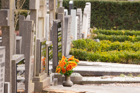 墓地-11在公墓中的花在法国南部的公墓司机开车用电话打粗心的男人