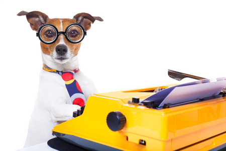 局长打字机狗照片