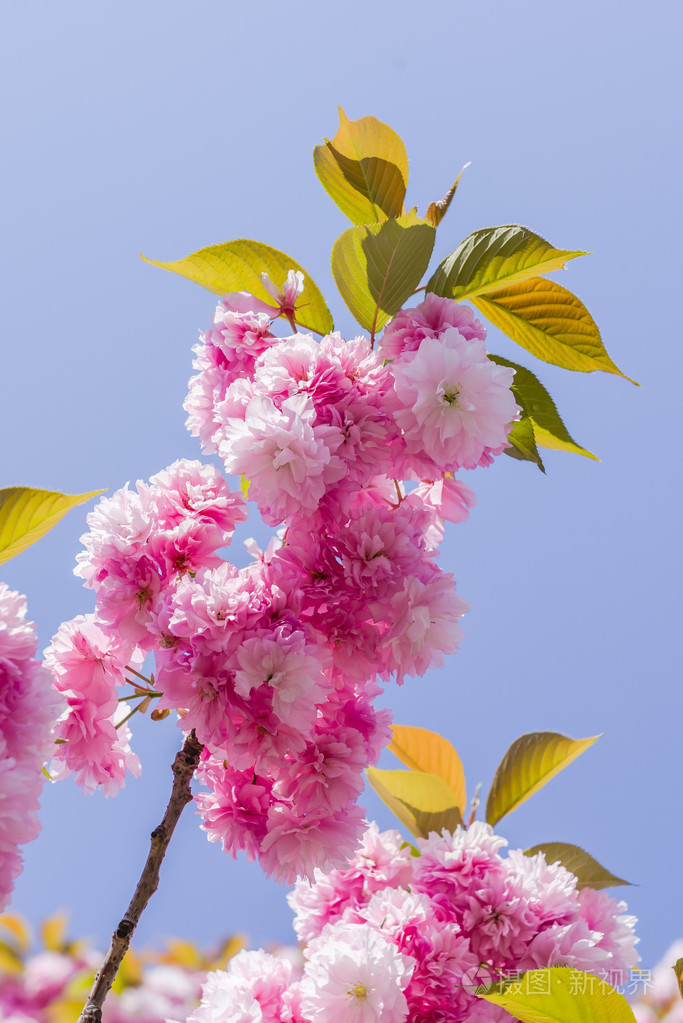 683_1023竖版 竖屏