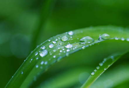 自然夏季背景照片