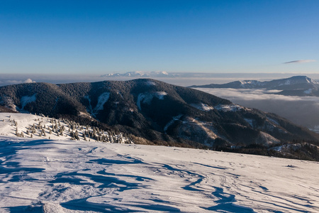 阳光明媚的早晨，在冬天山更大的 Fatra，斯洛伐克