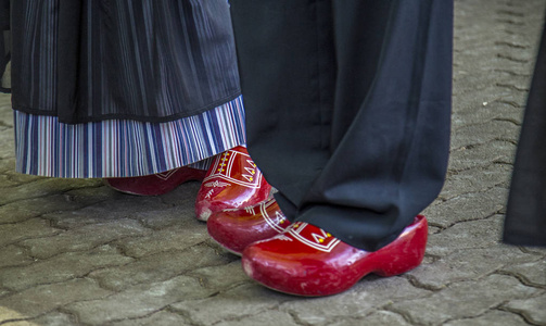 传统鞋木荷兰语