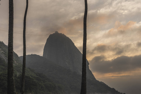 巴西海滨旅游：沧海树下 黎明日出 雨林丛林景观