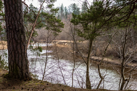 春季乡村风光晴朗的湖岸边