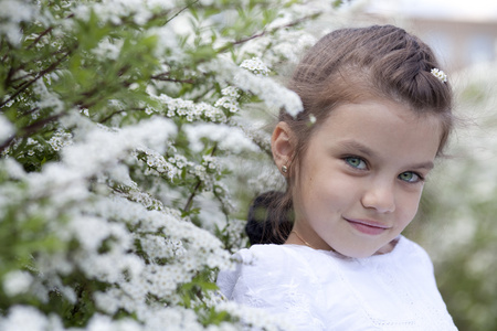 漂亮的小女孩在春天开花的肖像