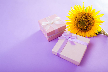 两个带向日葵的礼品盒。带首饰的紫色背景礼物
