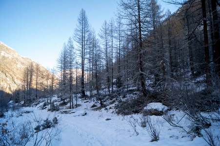 在雪地里山风景