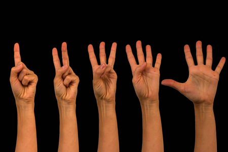 手计数的分离从一到五手指