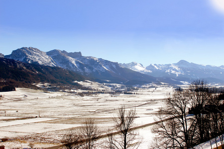 冬季景观