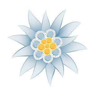 雪花啤酒勇闯天涯雪绒花(白绒花)照片