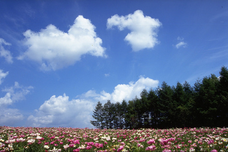 美丽的山岳景观