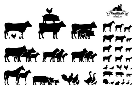 上白孤立的矢量农场动物合集图片
