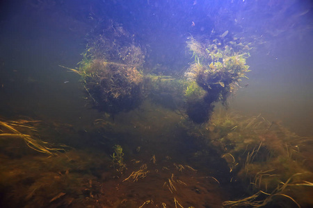 水下景观透明湖泊淡水生态系统异常景观