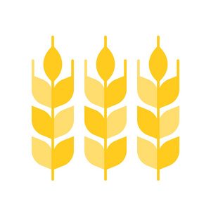 小麦或大麦的集合图标, 平面设计, 矢量插图