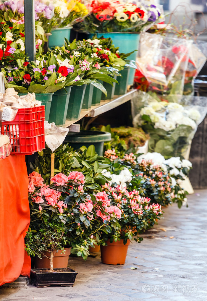 花店里的花