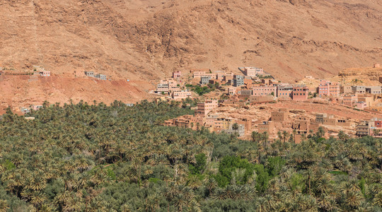 农业的 Tinghir 市，摩洛哥山麓的手掌
