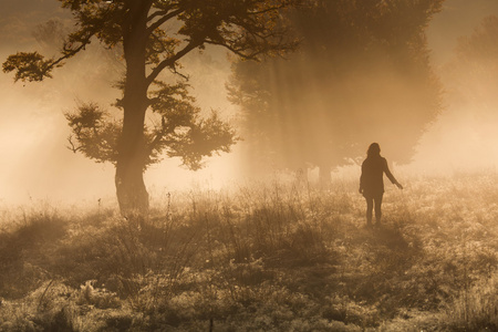 女人在一个有雾的早晨在森林里打坐的剪影照片