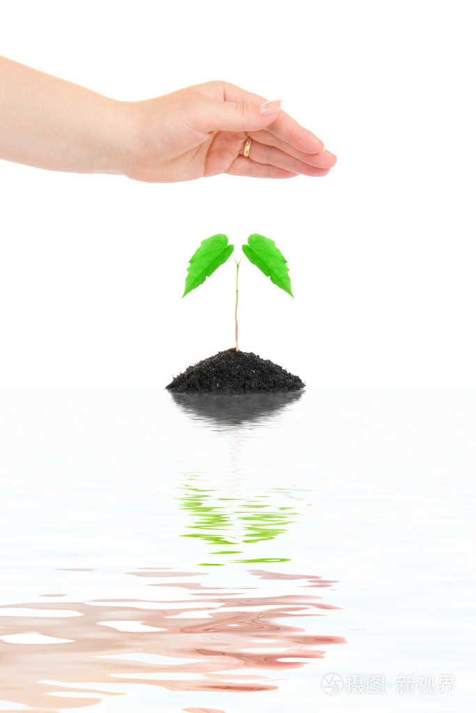 女人手保护小绿色的植物