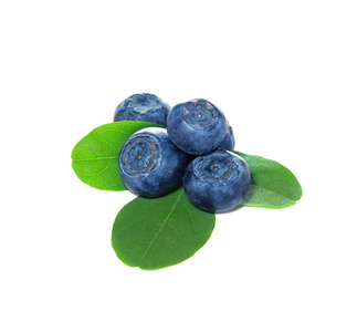 蓝莓 蓝莓