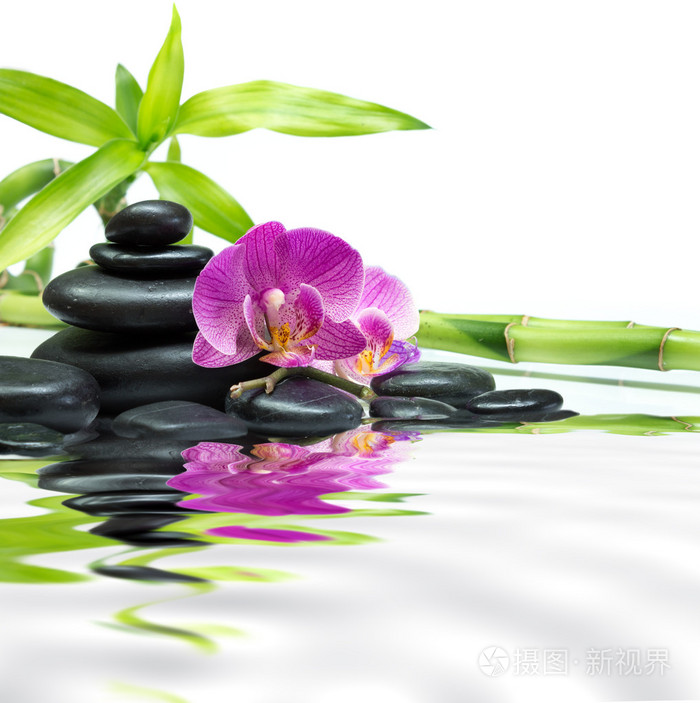 紫色兰花与竹塔黑石头上水