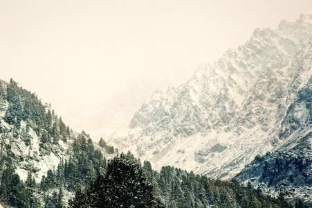 树木覆盖着白霜和在山中雪图片