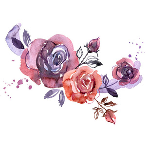 可爱的水彩手绘紫色玫瑰。邀请。婚礼卡。生日贺卡