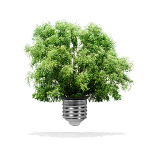 树生长在一个灯泡生态概念