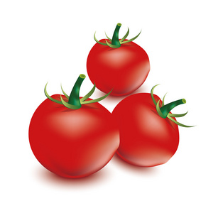 番茄在白色的背景，红番茄，番茄矢量