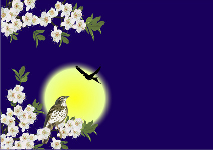 与白色的花和鸟在月光下图图片