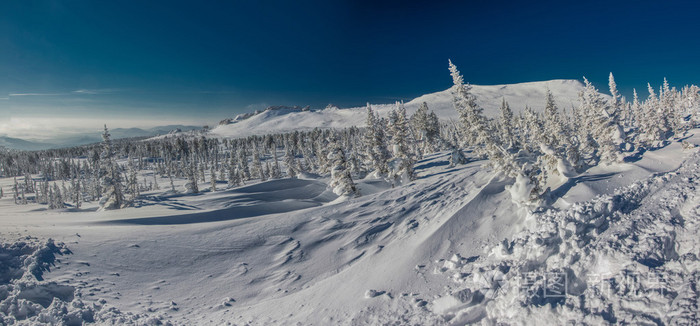 西伯利亚的冬天