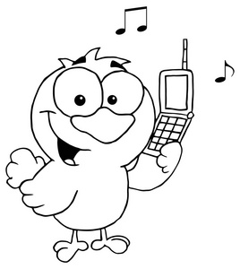 鸟拿着移动手机