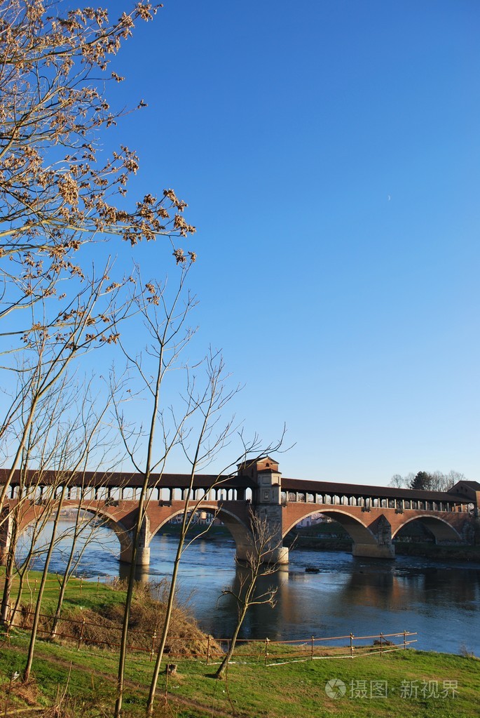 覆盖提契诺河上的桥