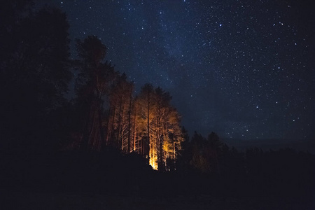 星光之夜。森林里的篝火和天上的星星