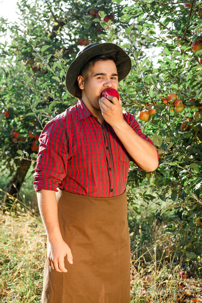 年轻快乐的人在花园里收集成熟的苹果那个男人正在吃苹果微笑着看着