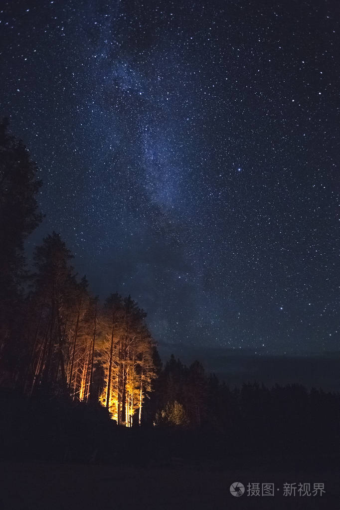 星光之夜森林里的篝火和天上的星星