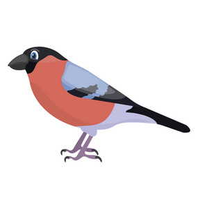 小麻雀喜欢鸟在不同的颜色描绘的房子雀科