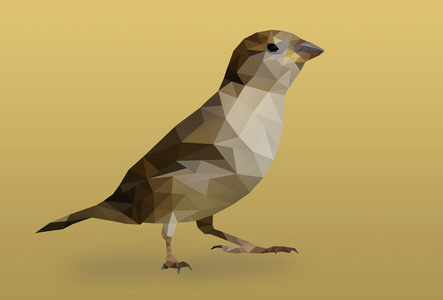 抽象的多边形的小鸟照片