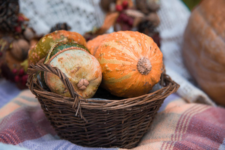 一个乡村的秋天仍然生活与南瓜在篮子里。收获或感恩