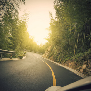 森林路公路背景