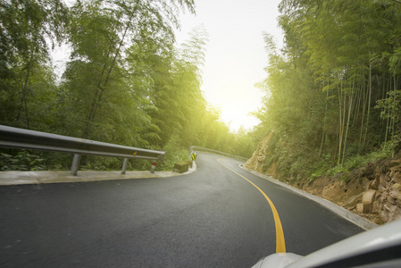 森林路公路背景