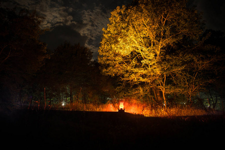 晚上在森林里烧旧油灯.夜景的噩梦场面.选择性聚焦照片